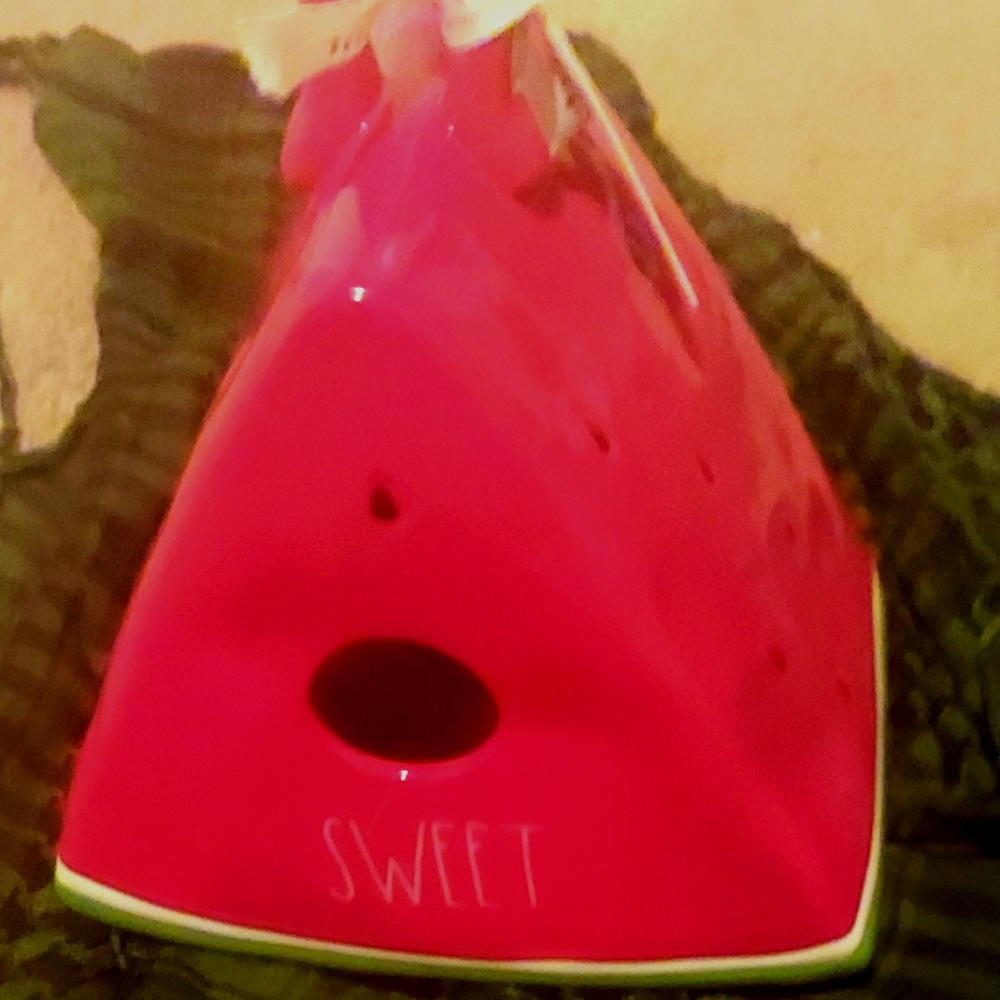 Watermelon birdhouse house